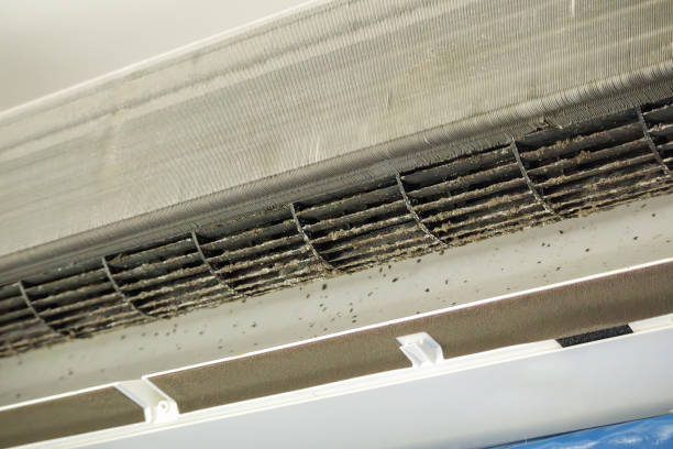 Best Affordable Air Duct Cleaning  in Georgetown, CO